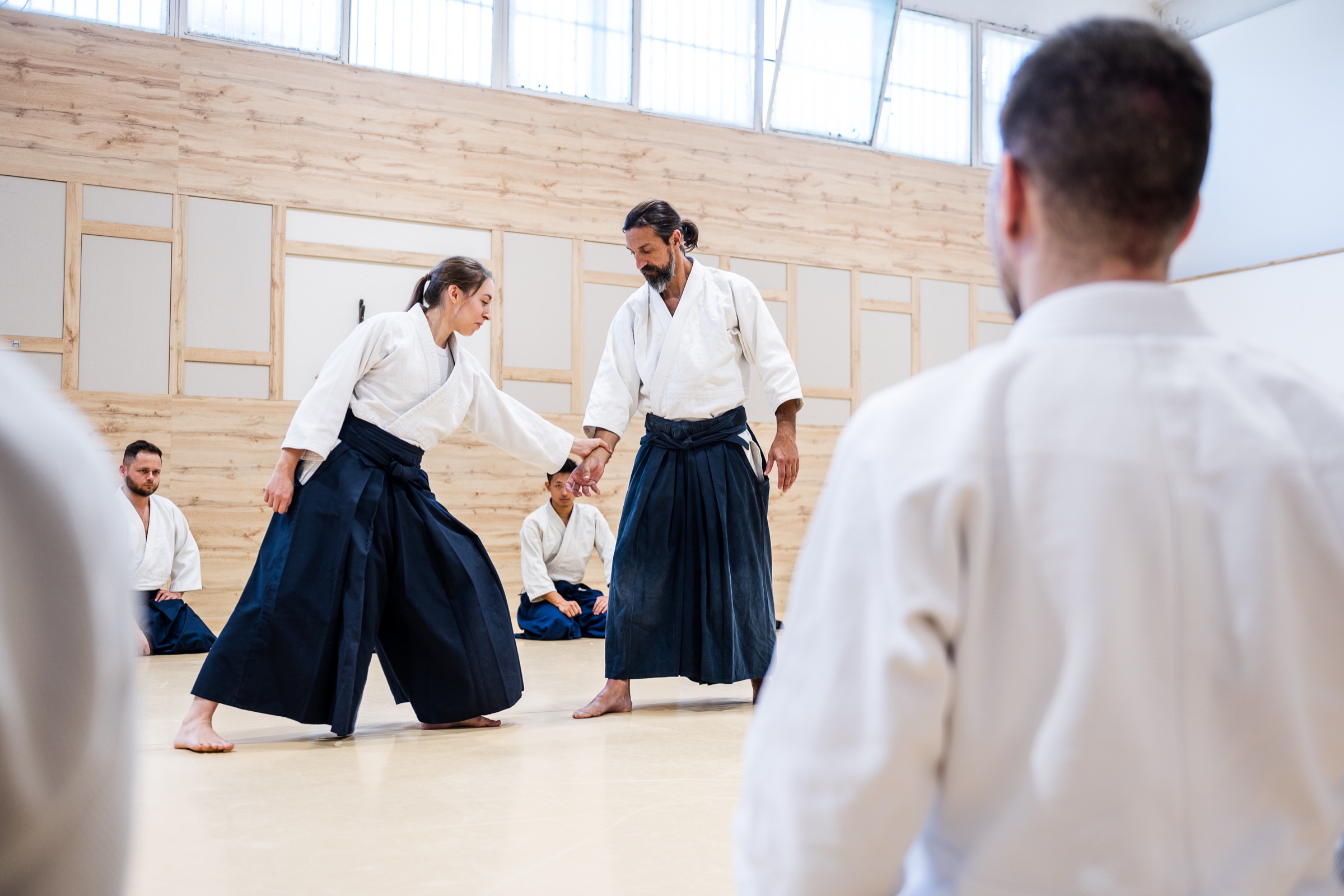 Aikido · Aikido Musubi