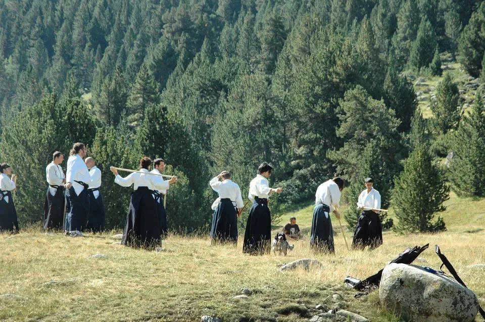 Aikido outdoors! 🚞 Alfresco for a few days: Eat, Sleep, 合気道, Repeat!