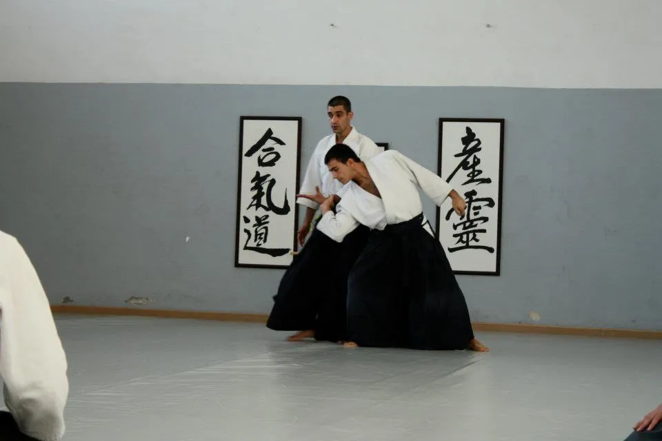 Aikido Musubi y Aikidojo Terrassa (2008)