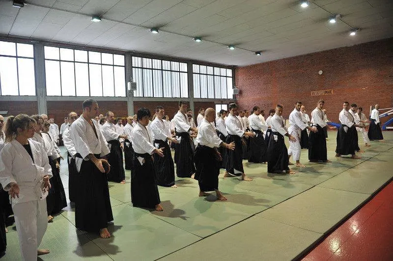 Osawa H. Shihan teaching the basics! @ Milan, 2012