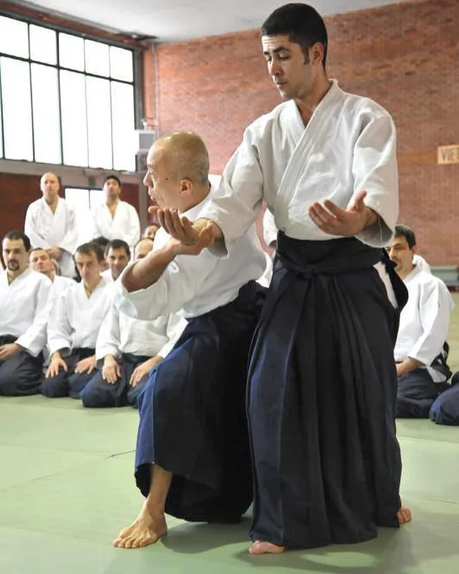 Osawa H. Shihan (大澤 勇人) showing Tai No Henka (体の変化) with Pedro Fortes 