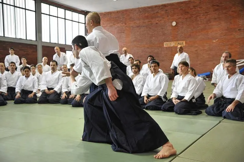 Osawa H. Shihan (大澤 勇人) showing Tai No Henka (体の変化) with Pedro Fortes 