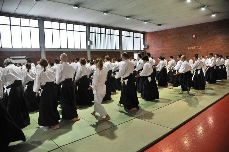 Osawa H. Shihan (大澤 勇人) teaching proper Tai Sabaki (体さばき) rigorously a