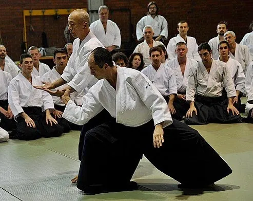 Osawa H. Shihan (大澤勇人) showing Tai no henkō (体の変更)/Tenkan (転換) with @c