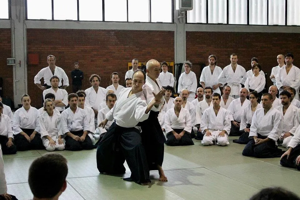 Osawa H. Shihan (大澤勇人) showing Tai no henkō (体の変更)/Tenkan (転換) with @c