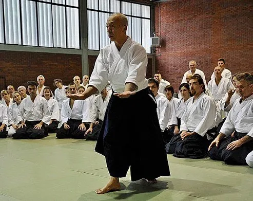 Osawa H. Shihan (大澤勇人) showing Tenkan (転換)! @ Milan, 2012