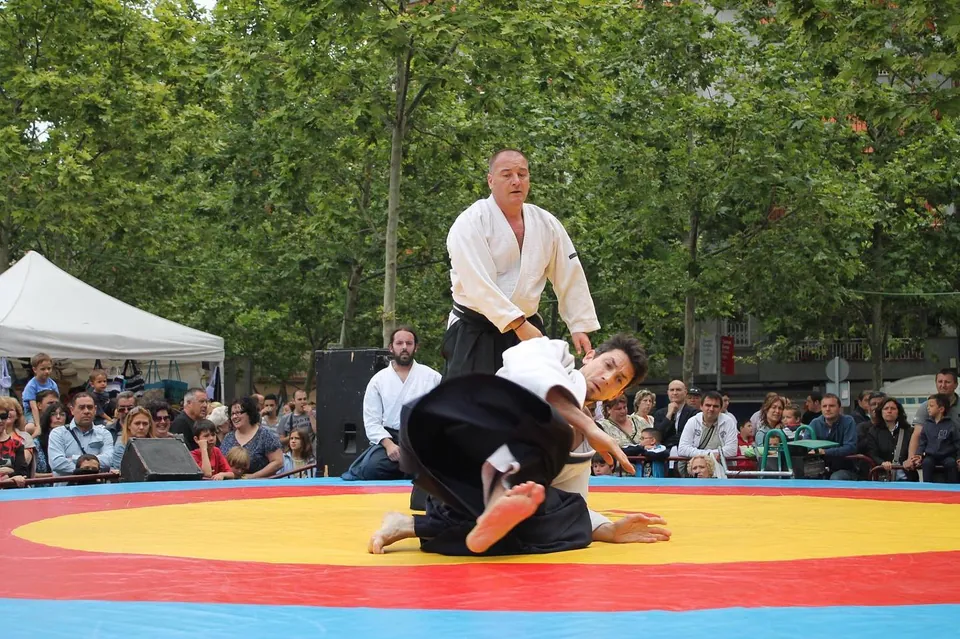 Pepe (取) and Jose (受) show Nage-waza (投技)! ☄️ @aikidomusubi Exhibition