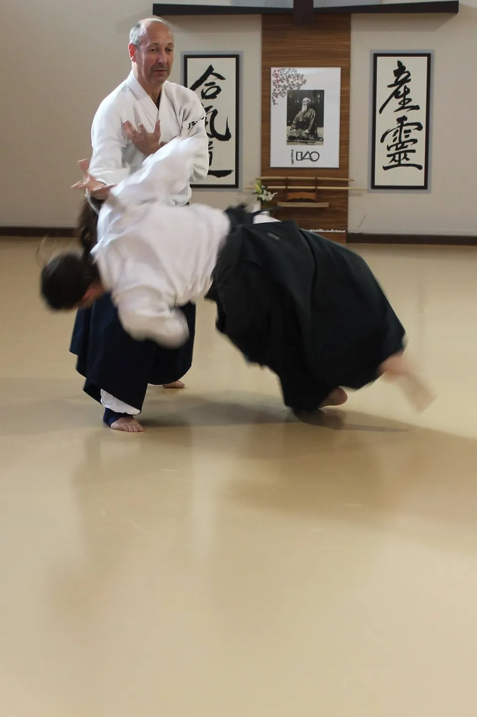 Francisco Manchón Sensei (2015)
