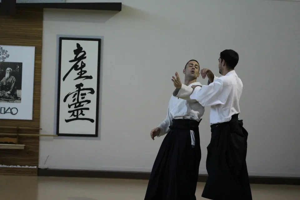 Ricard Coll Sensei (2015)