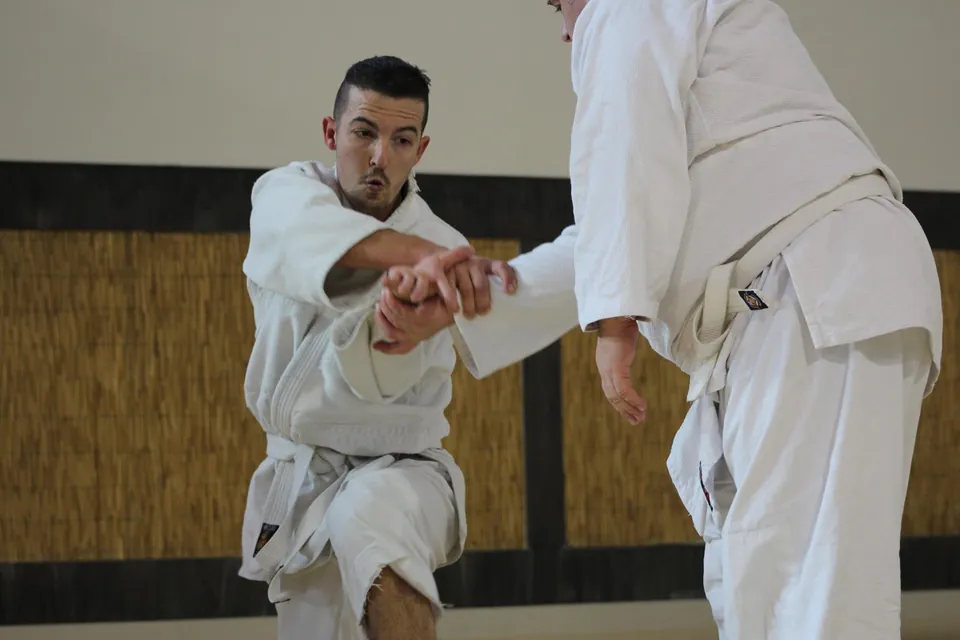 Exámenes de kyū (2015)