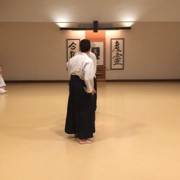 Aikido training