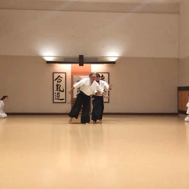 Aikido training