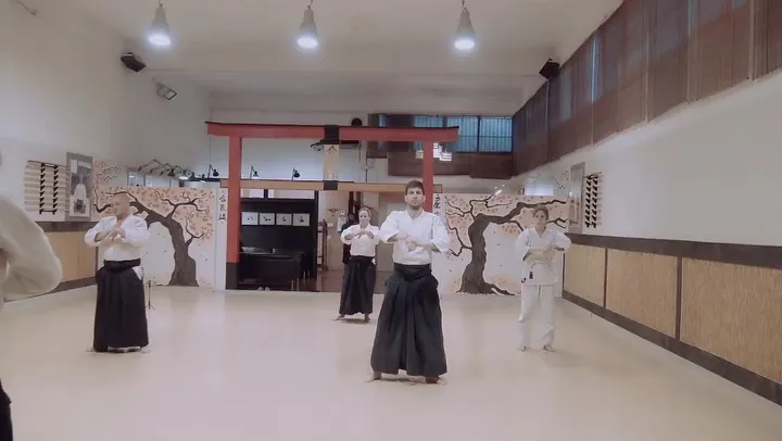 Te Sabaki (手捌き) o 'Movimientos de las manos' es una de las partes más 