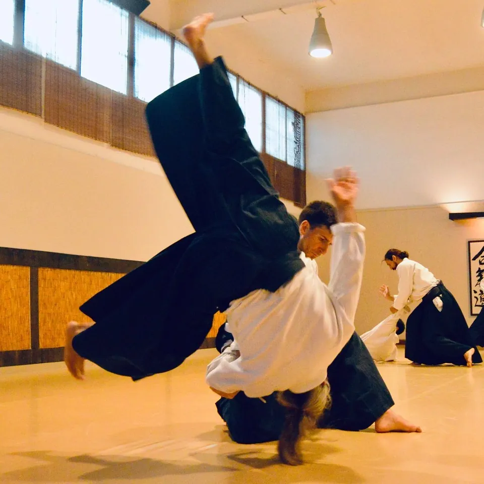 In Aikido you take and receive!-nage