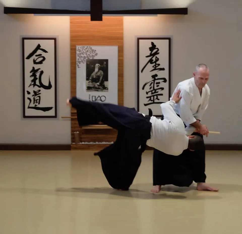 Tanto-Dori Kote-gaeshi by Michael Flynn Sensei at @aikidomusubi.