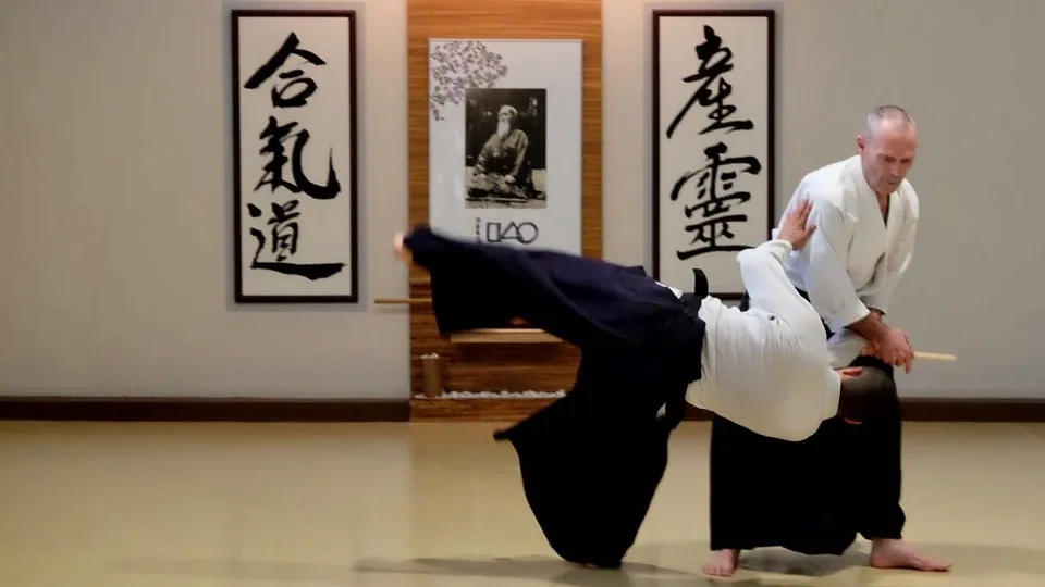 短刀取り (tantō-dori) 💥 Mike Flynn Shihan 7.th Dan Aikikai @ Barcelona, 20
