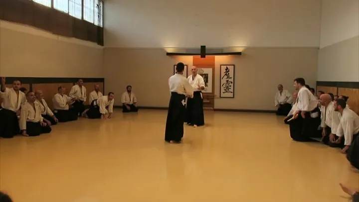 Tanto-Dori Yokomen uchi Gokyo!!
