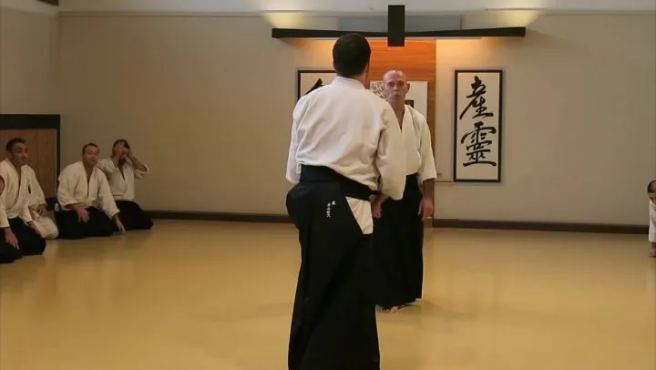 Tanto-Dori Shomen uchi Gokyo by Michael Flynn Shihan at Musubi Dojo.