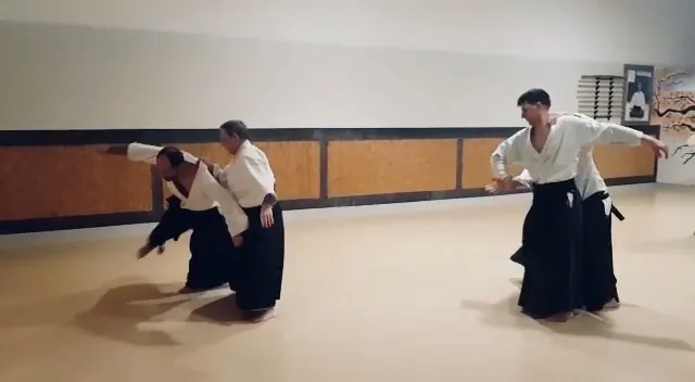 入身投！Irimi-nage! ⬇️↘️➡️🅰️🅱️