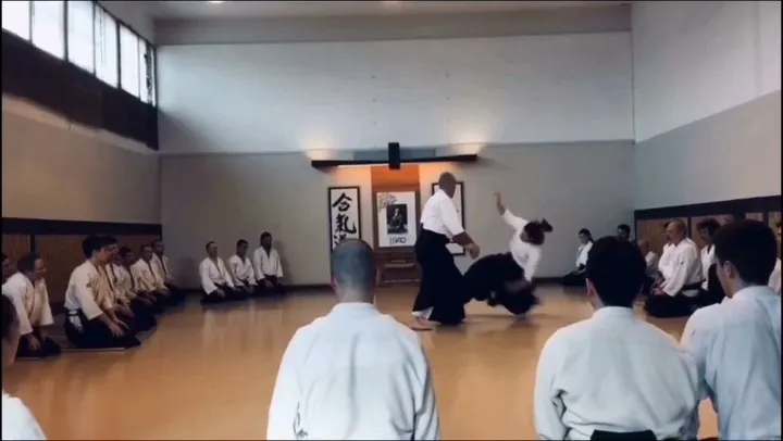 Mike Flynn Shihan on Shiho-giri (四方切) and directions! ⬅️↙️⬇️↘️➡️🅰️🅱️