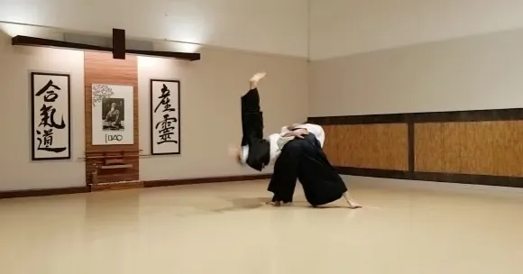 Tachi-waza Shōmen-uchi Irimi-nage Ura (立技 正面打 入身投 裏)! 💥