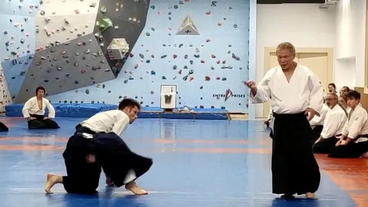 Miyamoto T. Shihan (宮本 鶴蔵) showing Shihō-giri (四方切り). @ Barcelona, 20
