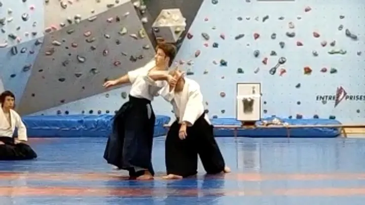 Miyamoto T. Shihan (宮本 鶴蔵) showing Shihō-giri (四方切り) from Gyaku-hanmi