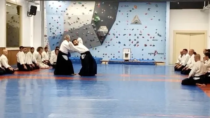 Miyamoto T. Shihan (宮本 鶴蔵) showing Shihō-giri (四方切り) with Christian M