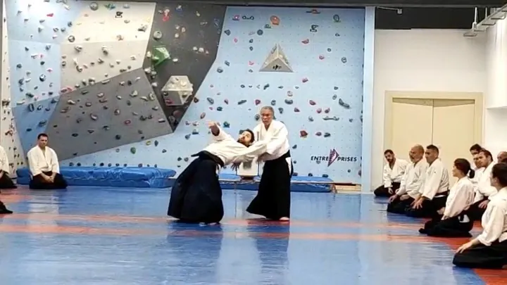 Miyamoto T. Shihan (宮本 鶴蔵) showing Shihō-nage (四方投げ) from Gyaku-hanmi