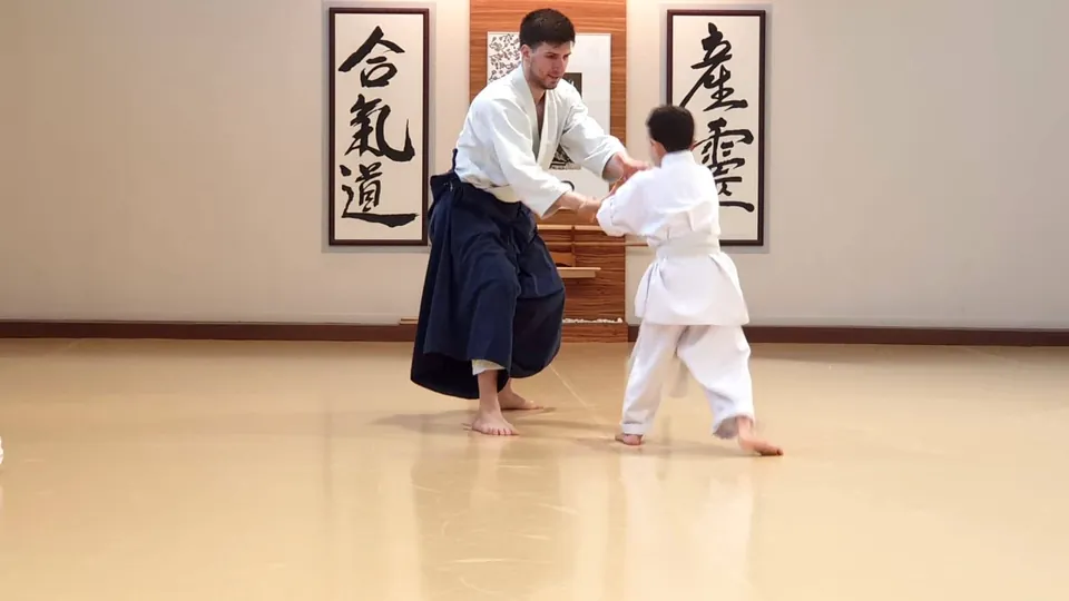 Aikido Infantil (2020)