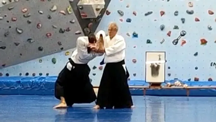 Miyamoto T. Shihan (宮本 鶴蔵) showing Ryōte-dori Shihō-giri (両手取り 四方切り) w