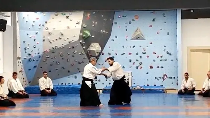 (Very) Interesting insights into body work or Tai Sabaki (体さばき) and Ry