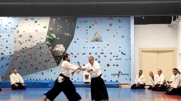 (Very) Interesting insights into body work or Tai Sabaki (体さばき) and Ry