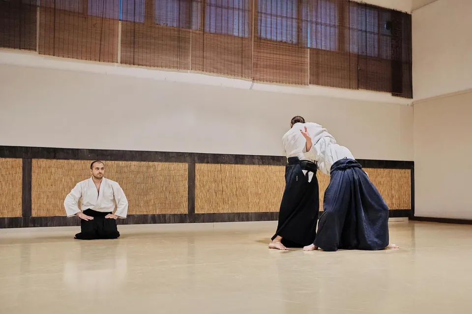Pablo Martín Sensei (@pablo_martin_martin) is showing Irimi-nage (入り身投