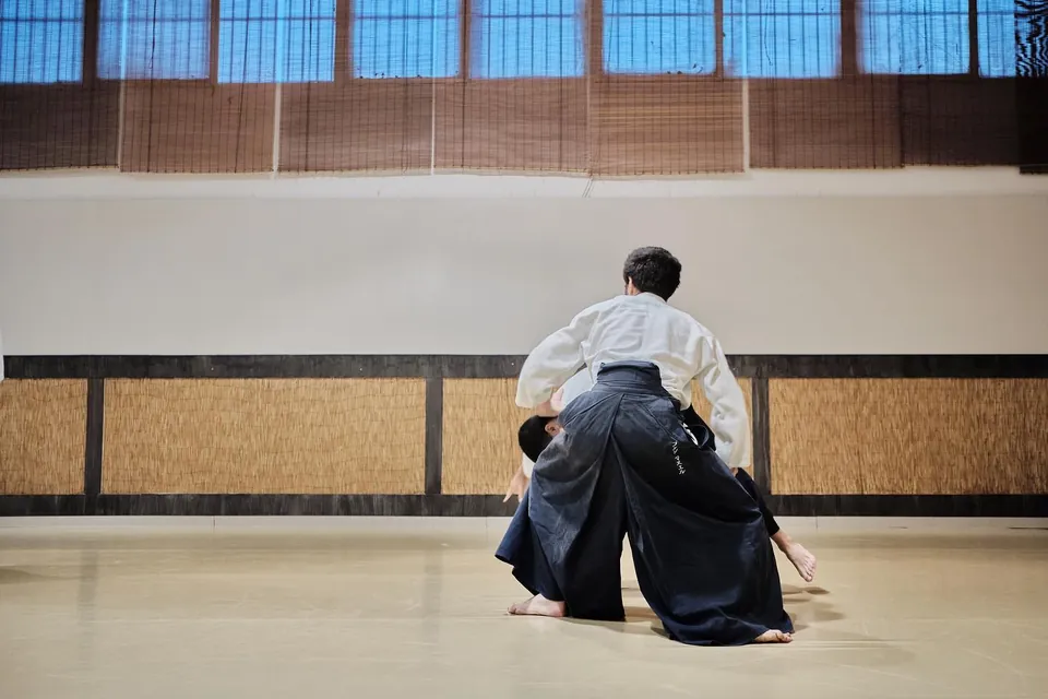 Kaiten-nage (回転投げ)! ⬅️↙️⬇️↘️➡️・➡️🅱️