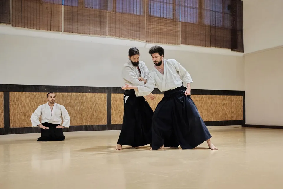 Katate-dori (片手取り) Gyaku-hanmi (逆半身) Irimi (入身)! 💨