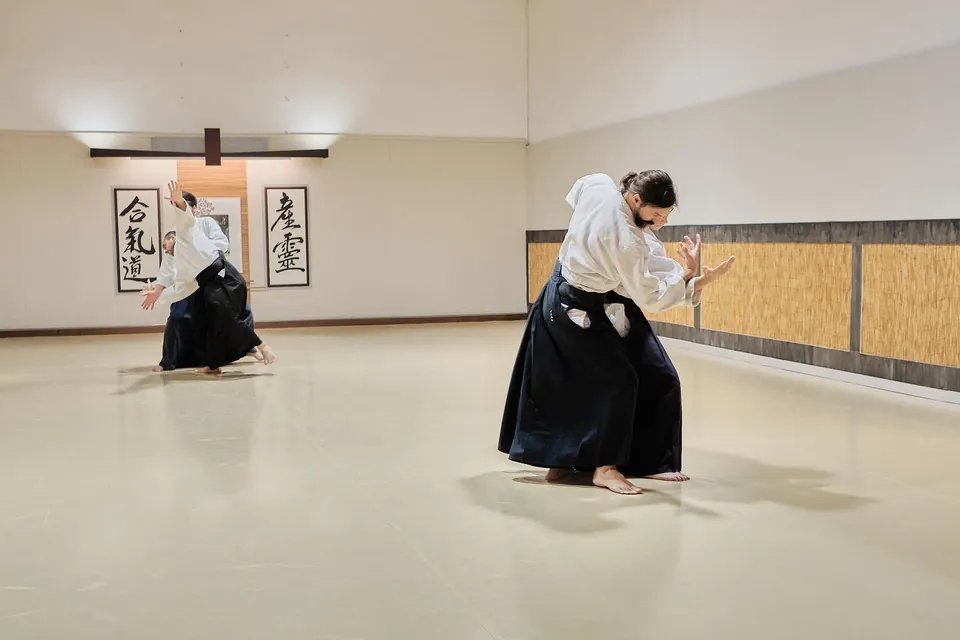 Katate-dori (片手取り) Gyaku-hanmi (逆半身) Irimi (入身)! ⏩