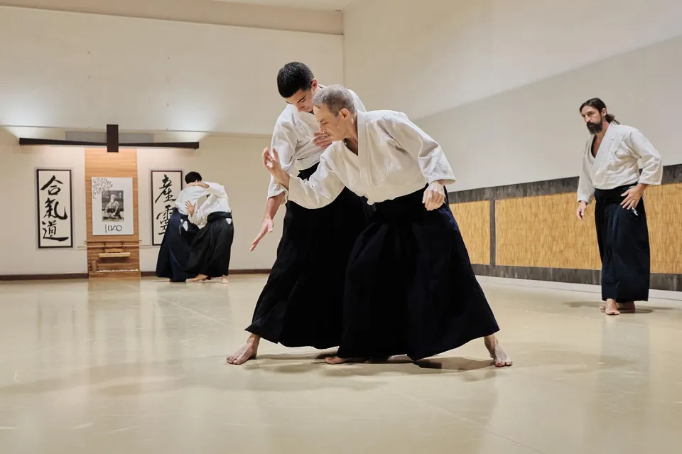 Katate-dori (片手取り) Gyaku-hanmi (逆半身) Irimi (入身)! ⏩