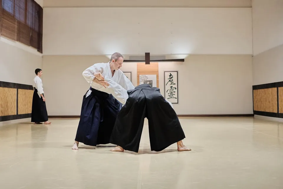 Kaiten-nage (回転投げ) or rotary throw; tori sweeps the arm back until it 