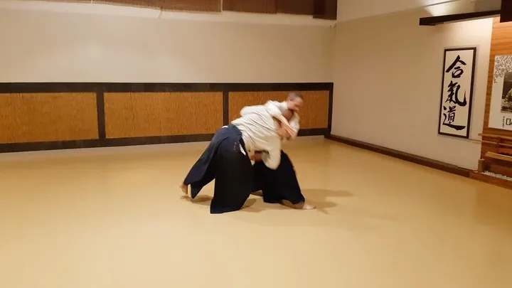 Katate-dori Ai-hanmi Irimi-nage (片手取り 相半身 入り身投げ).