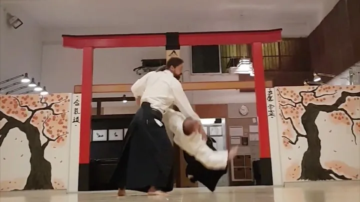 Interesting insights about distance and timing into Katate-dori Ai-han