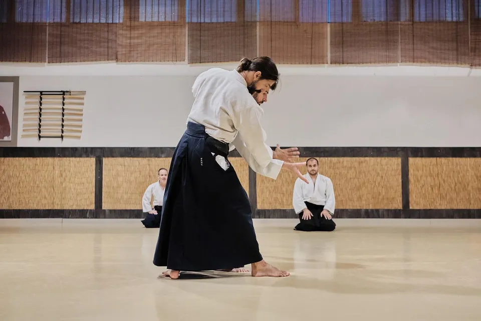 Irimi-nage (入身投げ) during regular class.