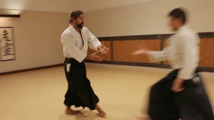 Pablo Martín Sensei is showing Katate-dori Jiyū-waza (片手取り 自由技)!