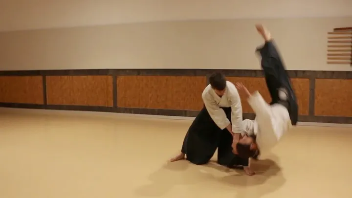 Katate-dori Jiyū-waza (片手取り 自由技)! Kote-gaeshi-nage, Sumi-otoshi, Kaite