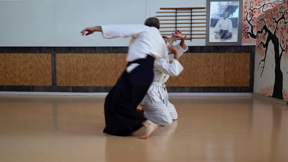 Hanmi-handachi (半身半立ち) Katate-dori (片手取り) Shiho-nage (四方投げ)!