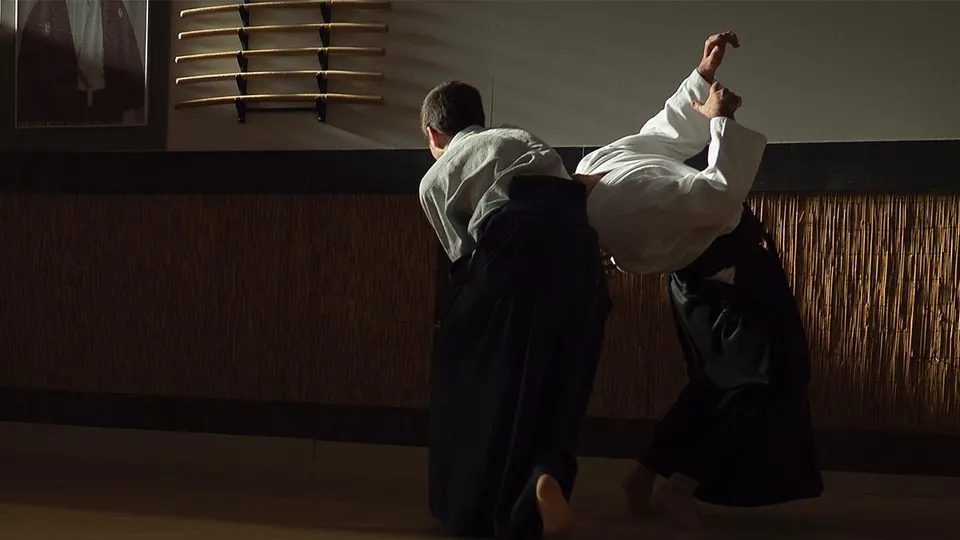 Irimi-nage (入身投げ)!