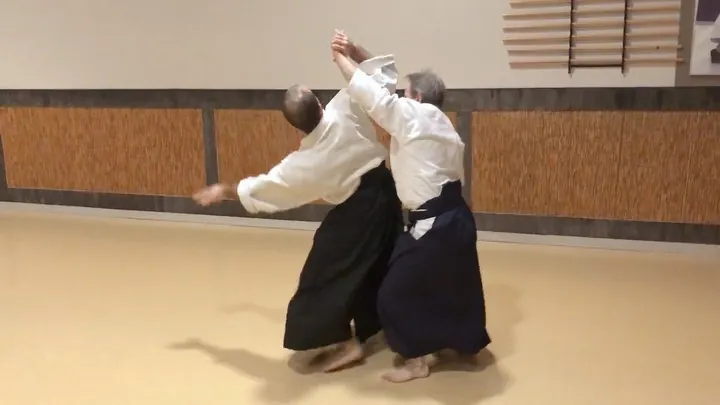 Taron Hamkhiyan (2nd dan) showing Shōmen-uchi Sankyō + Koshi-nage, Yok