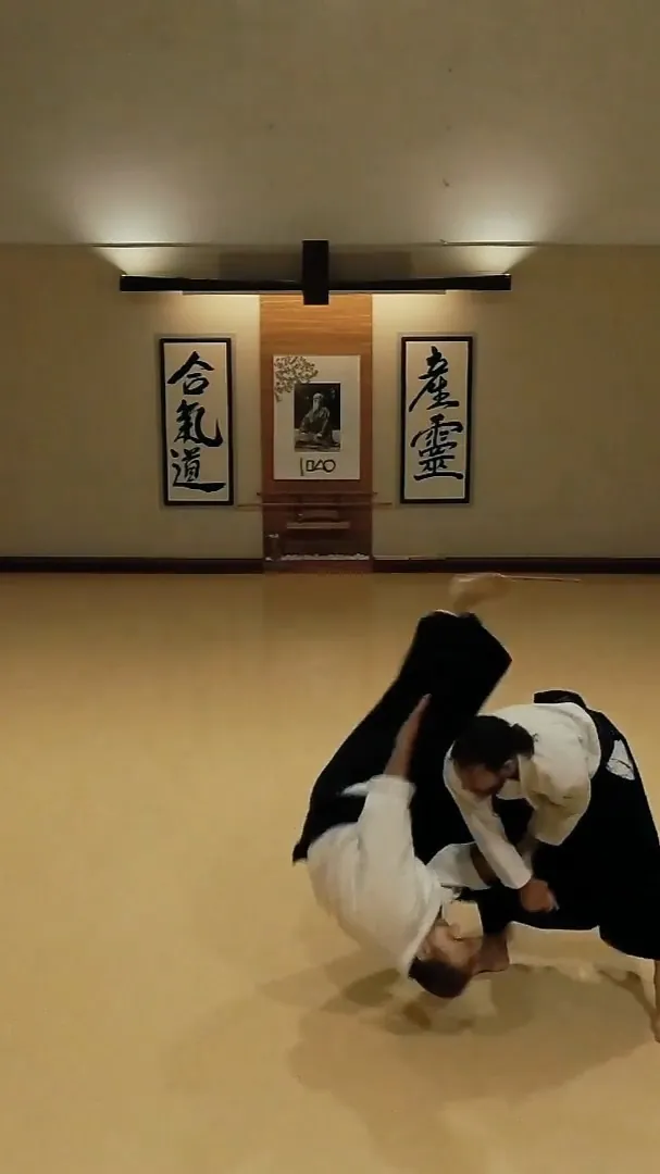 Kote-gaeshi (小手返し) or forearm return or wrist twist is a supinating wr