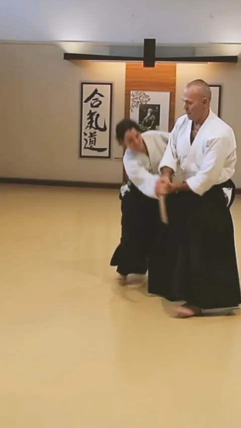 Mike Flynn Sensei showing Tantō-dori Shōmen-uchi Kote-gaeshi (短刀取り 正面打