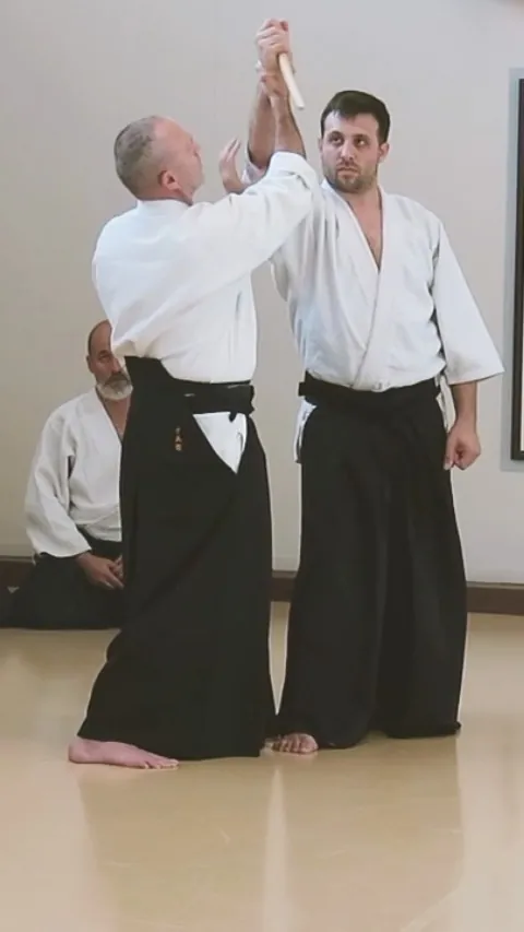 Mike Flynn Sensei showing Tantō-dori Shōmen-uchi Gokyō (短刀取り 正面打ち 五教)